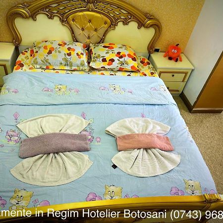 Apartament De Lux Zona 0 Botosani 2 Camere 외부 사진