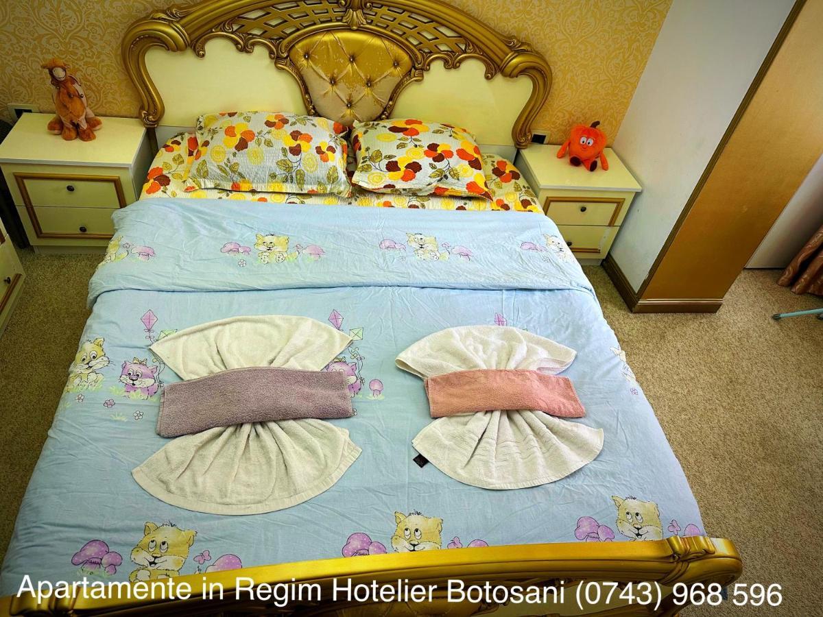 Apartament De Lux Zona 0 Botosani 2 Camere 외부 사진